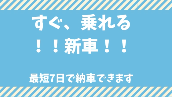 🌸花園インター店🌸即納新車情報✨